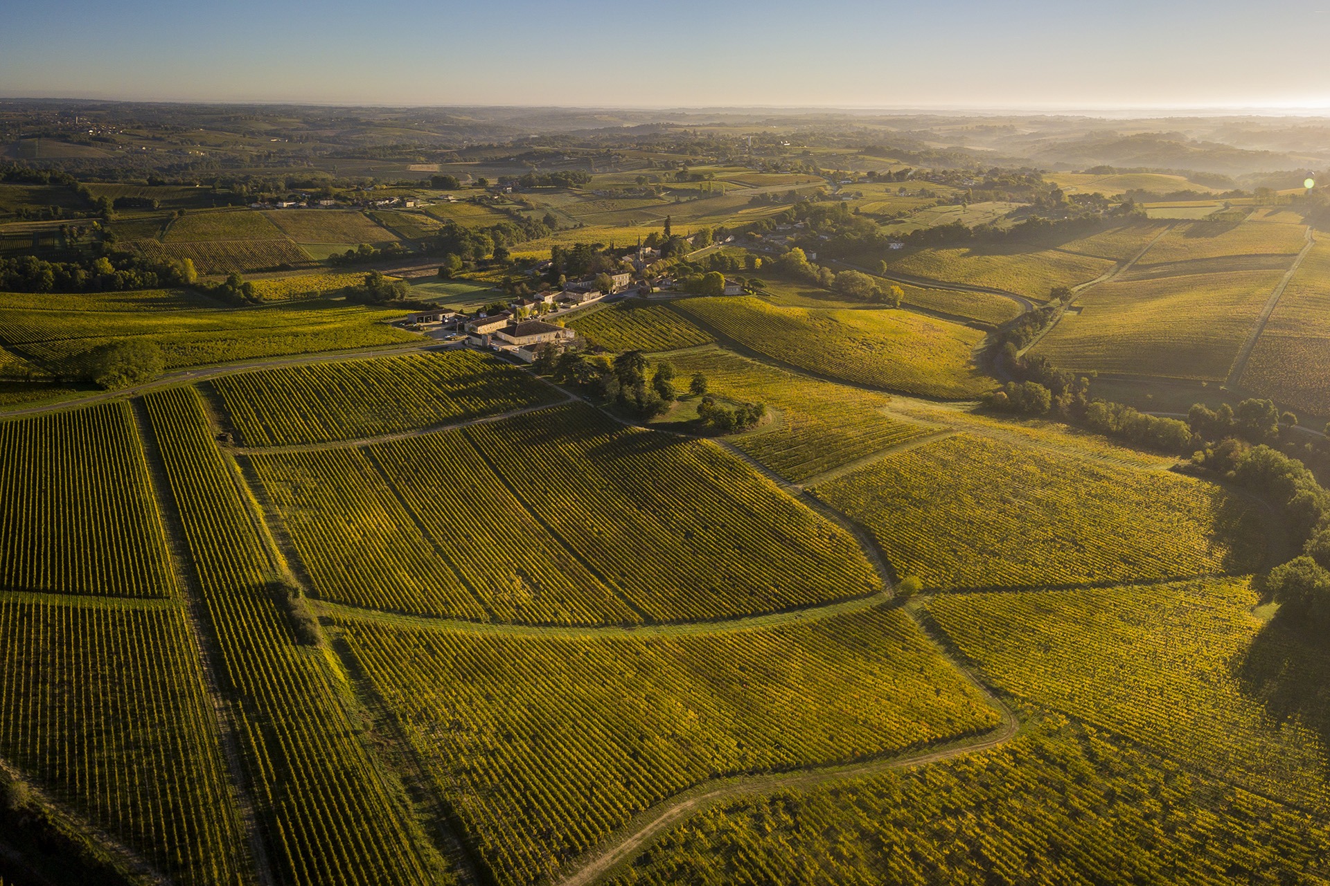 Aerial view Bordeaux Vineyard at sunrise, Entre deux mers, Langoiran, Gironde, France