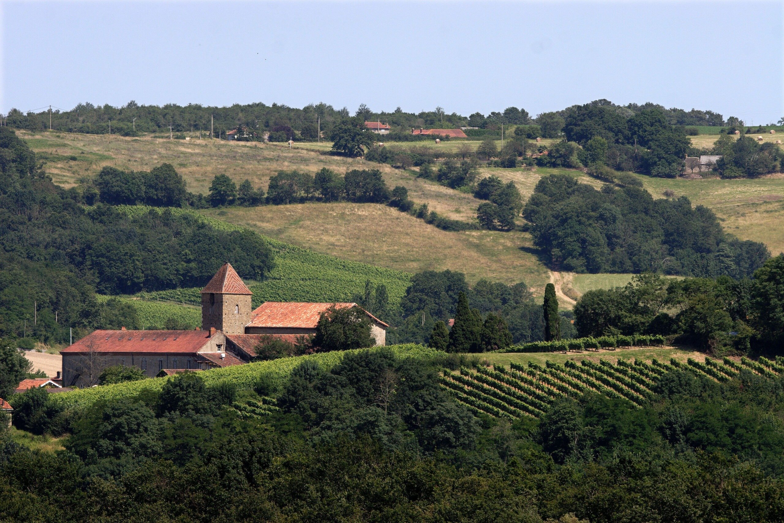 Vignes et ferme aux environs de Madiran - vignoble du sud-ouest - Hautes Pyrénées