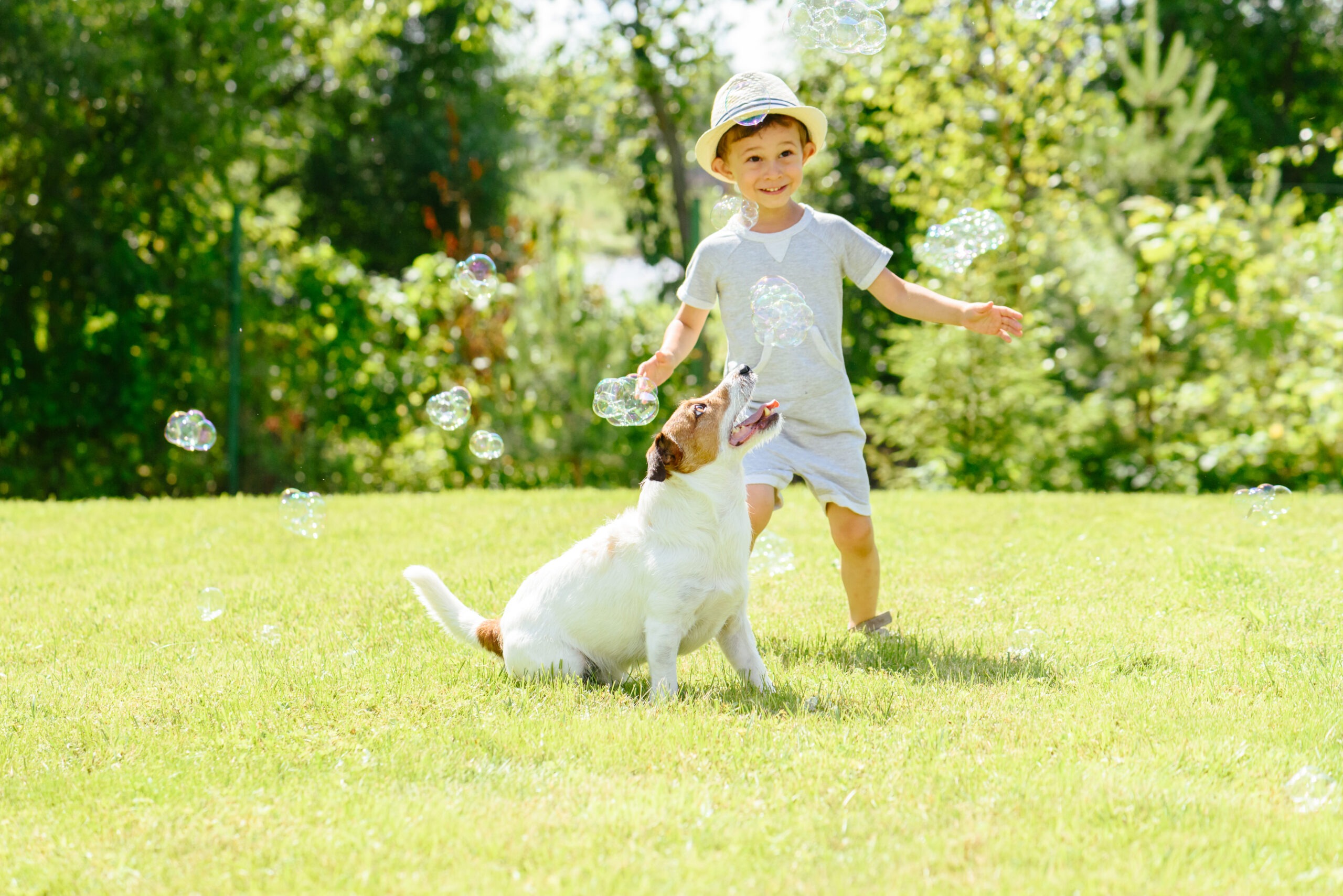 Family has enjoying fine summer day