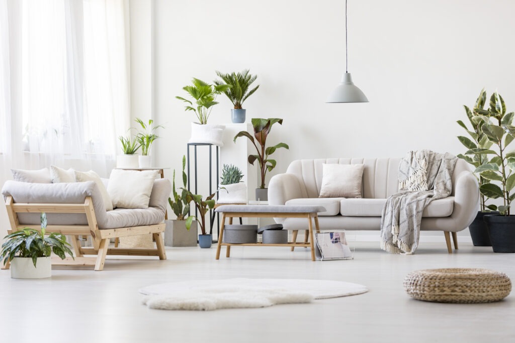 Pouf and white fur in spacious floral living room interior with wooden bench, beige sofas and plants